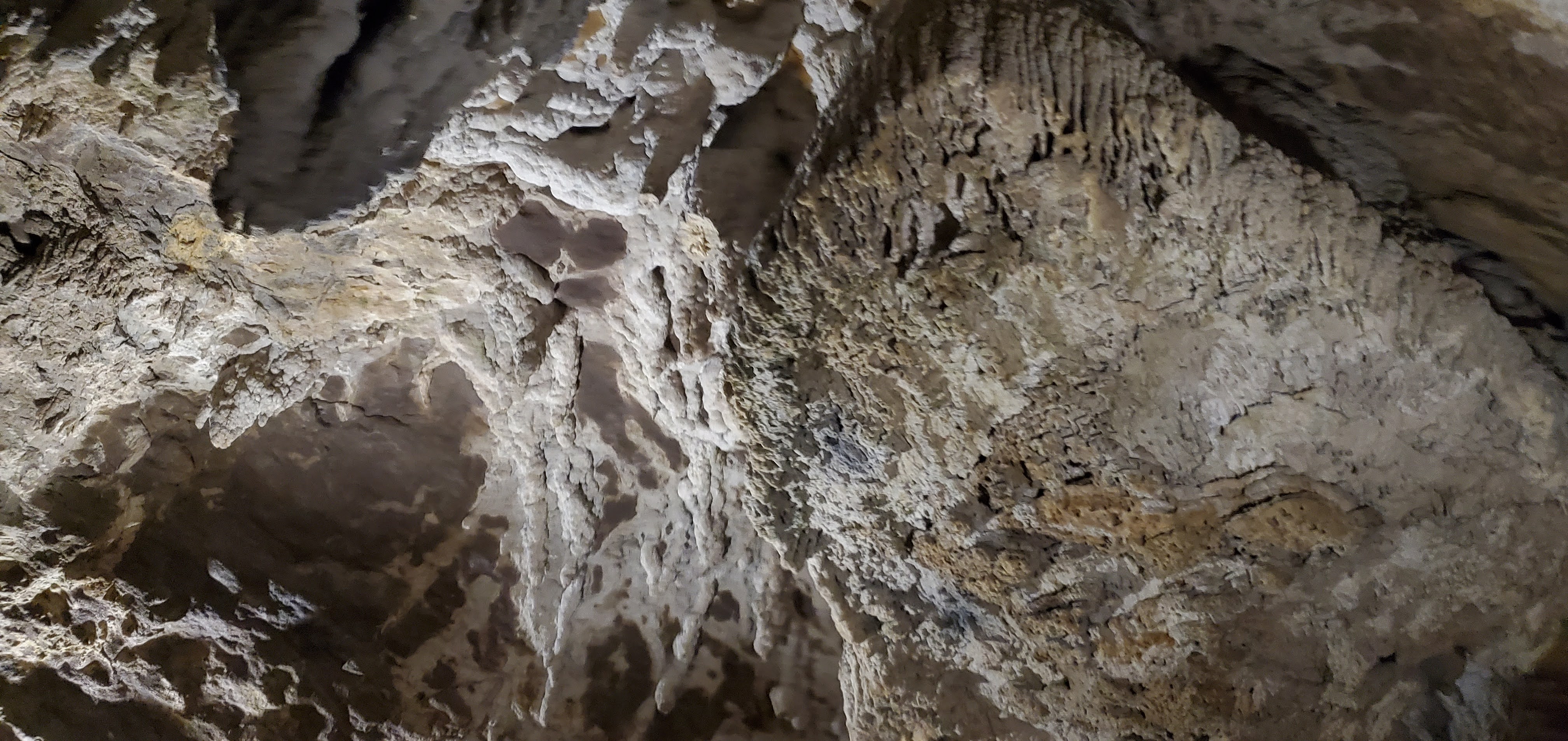 Photo n° 3 de l'avis de Said.i fait le 27/07/2022 à 07:41