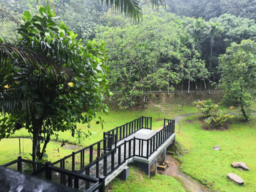 Taman Rimba Bukit Kerinchi