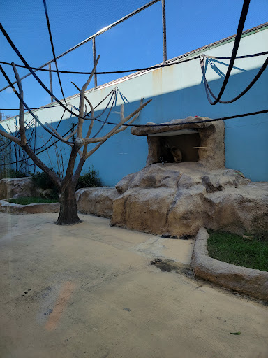 Tennis Club «Westside Tennis & Fitness», reviews and photos, 1200 Wilcrest Dr, Houston, TX 77042, USA