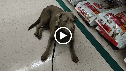 Farm Equipment Supplier «Family Farm & Home», reviews and photos, 66875 Gratiot Ave, Richmond, MI 48062, USA