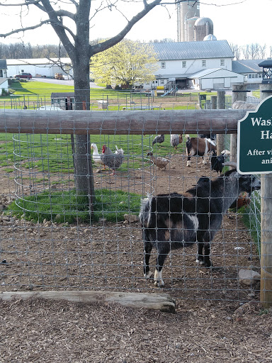Supermarket «ALDI», reviews and photos, 105 N 11th Ave, Lebanon, PA 17046, USA