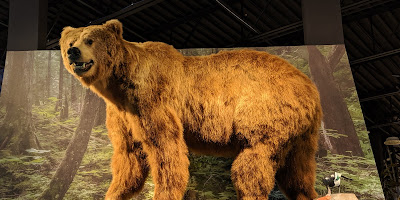 Kenai National Wildlife Refuge Visitor Center