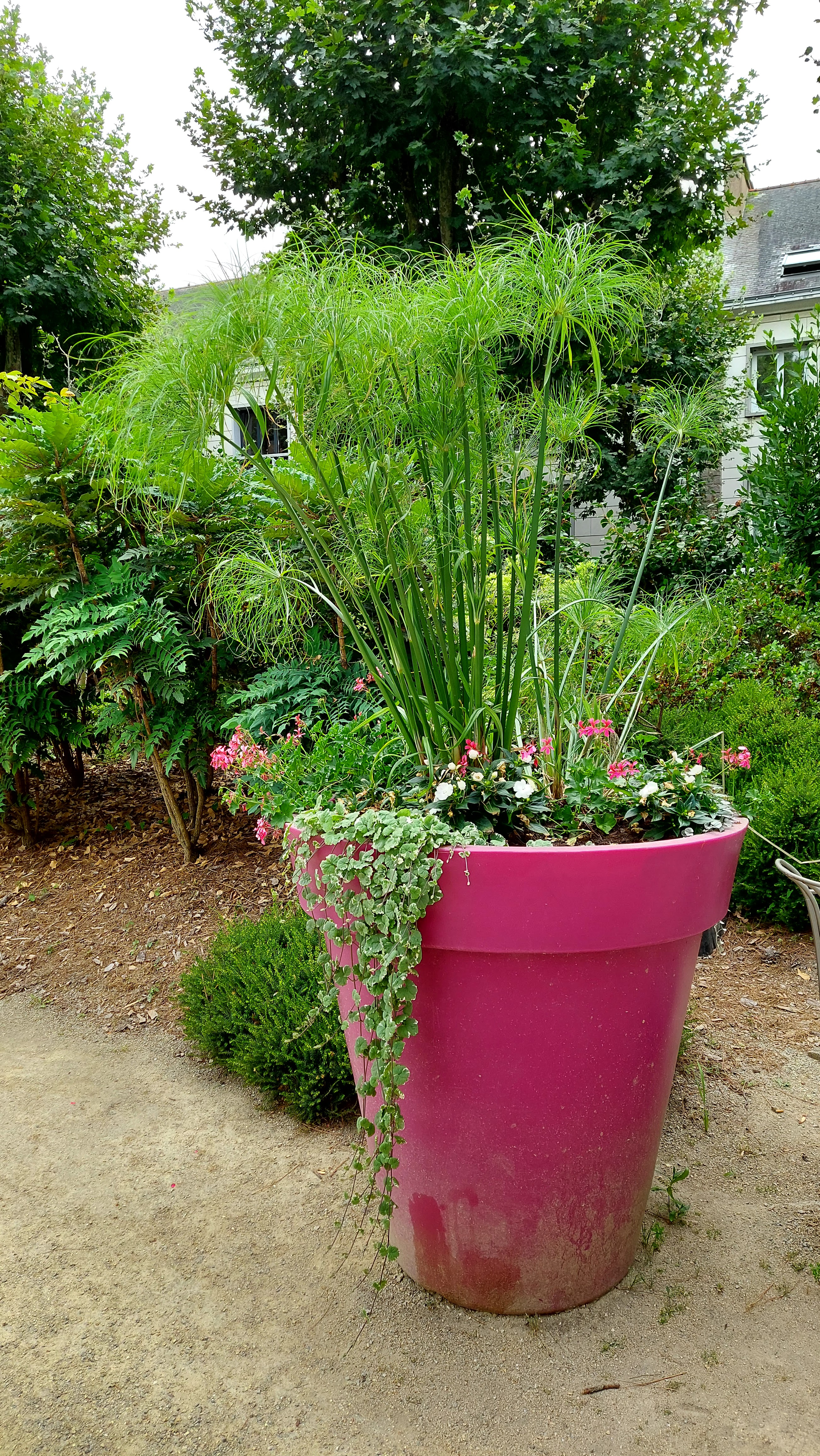 Photo n° 8 de l'avis de Aude.e fait le 23/07/2022 à 16:18