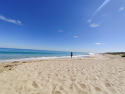 Madora Beach'in fotoğrafı vahşi alan