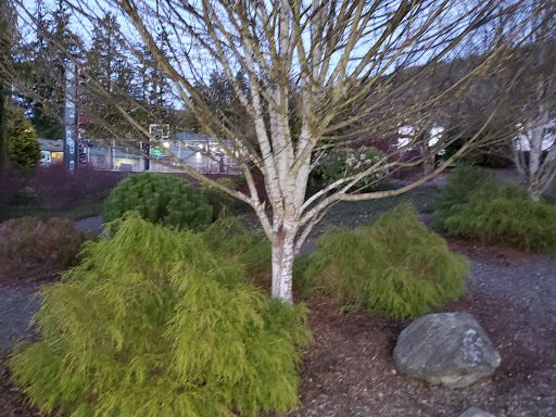 Casino «7 Cedars Casino», reviews and photos, 270756 US-101, Sequim, WA 98382, USA