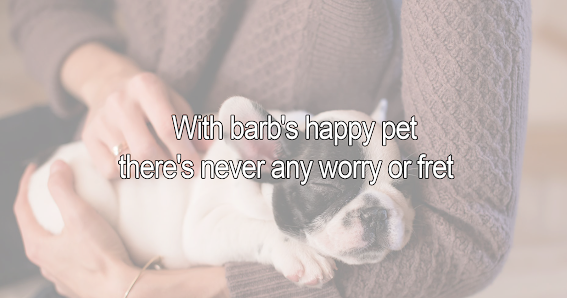 Barb's Happy Pets - Animal Sitting, Pet Sitter, Pet Walking & Watching Service Springdale AR 