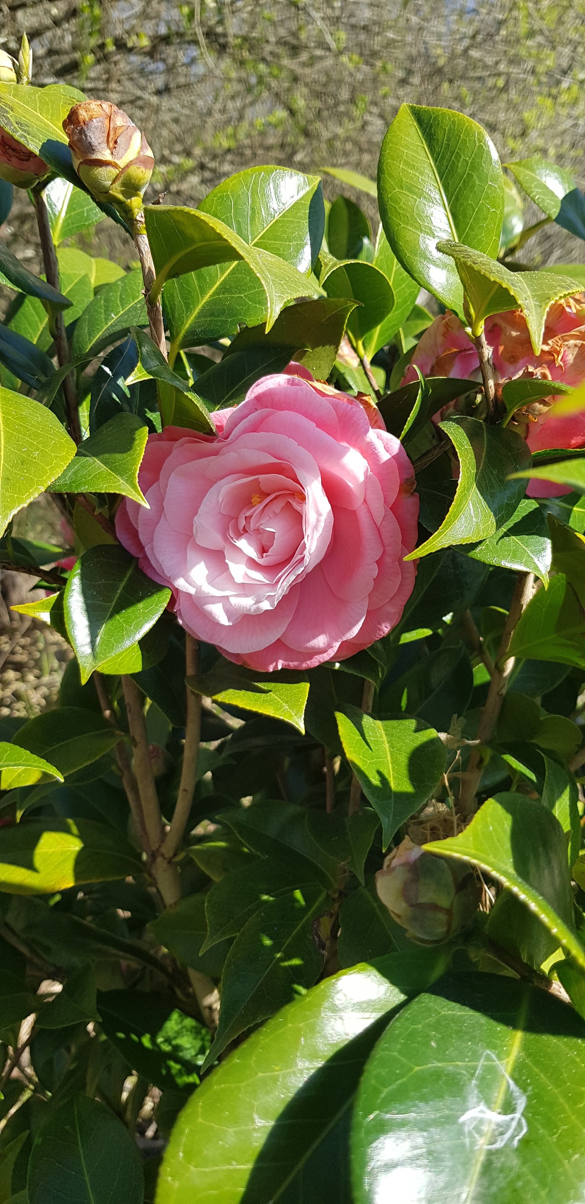 Photo n° 14 de l'avis de Nathalie.o fait le 29/03/2021 à 15:45