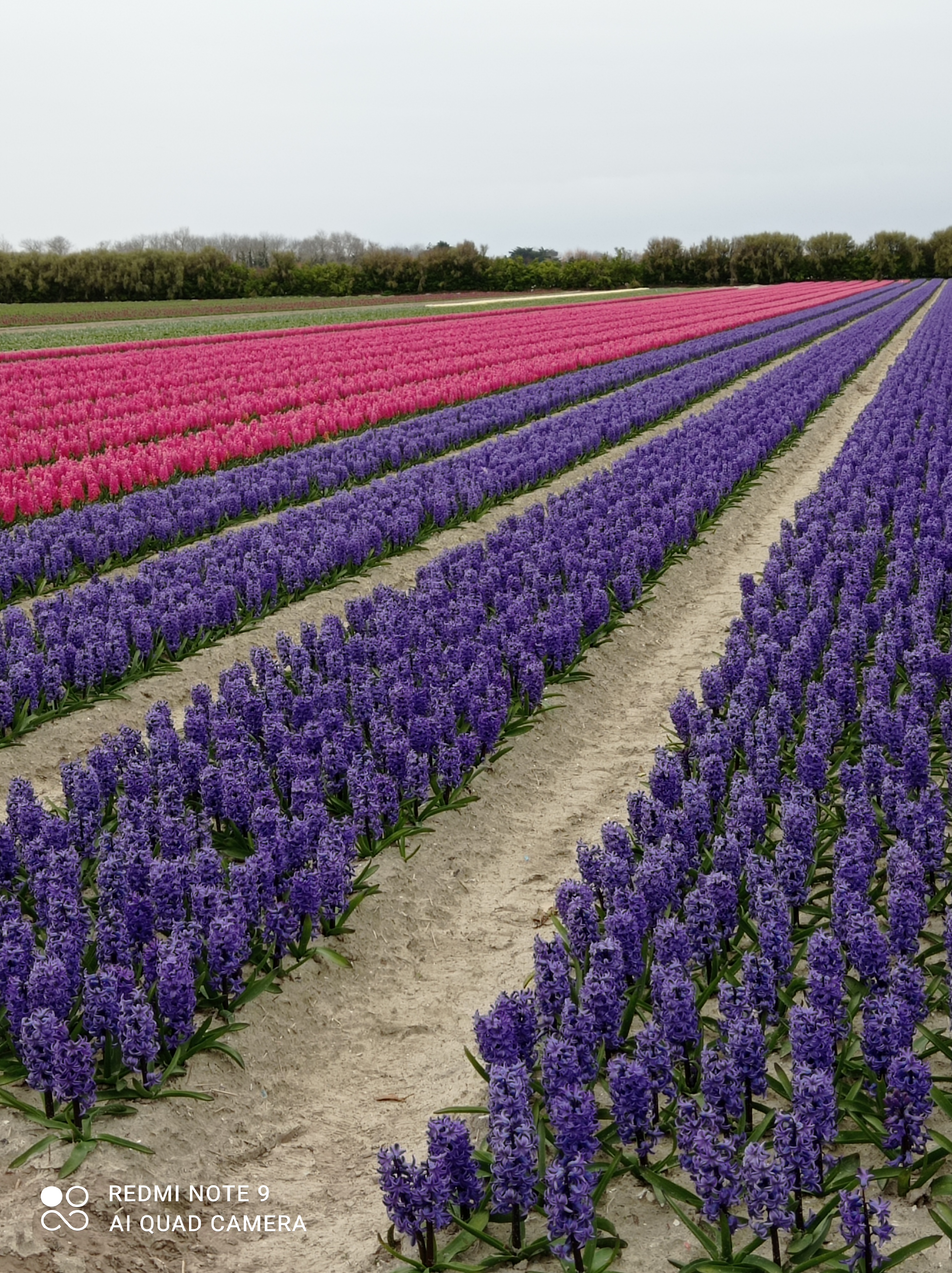 Photo n° 4 de l'avis de Isa. fait le 21/03/2021 à 14:45