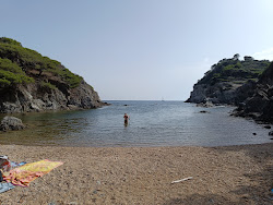 Valokuva Calanque du Breganconnetista. sisältäen pieni lahti