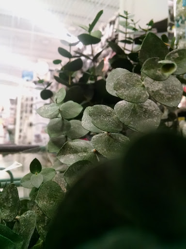 Fabric Store «Jo-Ann Fabrics and Crafts», reviews and photos, 10545 S Mall Dr, Baton Rouge, LA 70809, USA