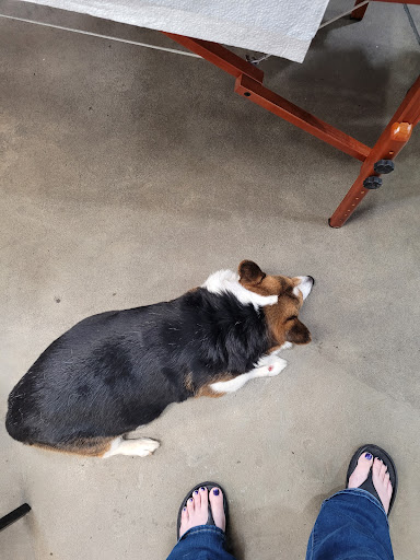 Art Gallery «Cornerstone Tattoo Gallery», reviews and photos, 48 Main St, Senoia, GA 30276, USA