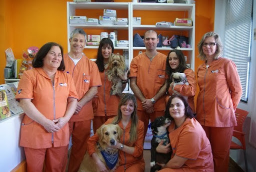 Nexo Veterinario Huelva en Huelva