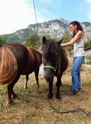 Alexia ORTEGA Ostéopathe animalier Alpes Maritimes OA 460 à Vence