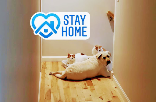 Mortgage Lender «First Portland Mortgage Corp», reviews and photos