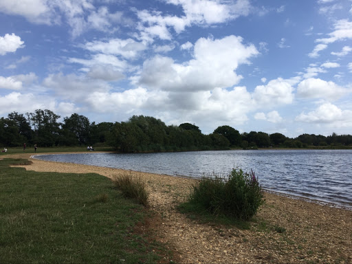 Testwood Lakes Nature Reserve Southampton