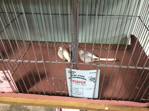 Park «Warsaw Park», reviews and photos, 119 Pulaski Hwy, Ansonia, CT 06401, USA