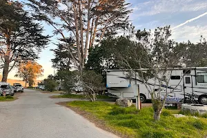 Morro Bay State Park Campground image