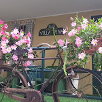 Photo n°1 de l'avis de Rocco.e fait le 19/07/2023 à 07:11 sur le  Villa Pina à Laigueglia