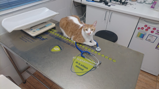 Centro Veterinario Bormujos Ii en Bormujos