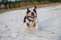 Randy Hamilton Photography - Photo 5 - Car repair in Pensacola, FL, Pensacola