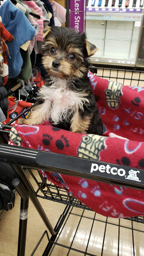 Pet Supply Store «Petco Animal Supplies», reviews and photos, 5177 Eldorado Pkwy, Frisco, TX 75033, USA