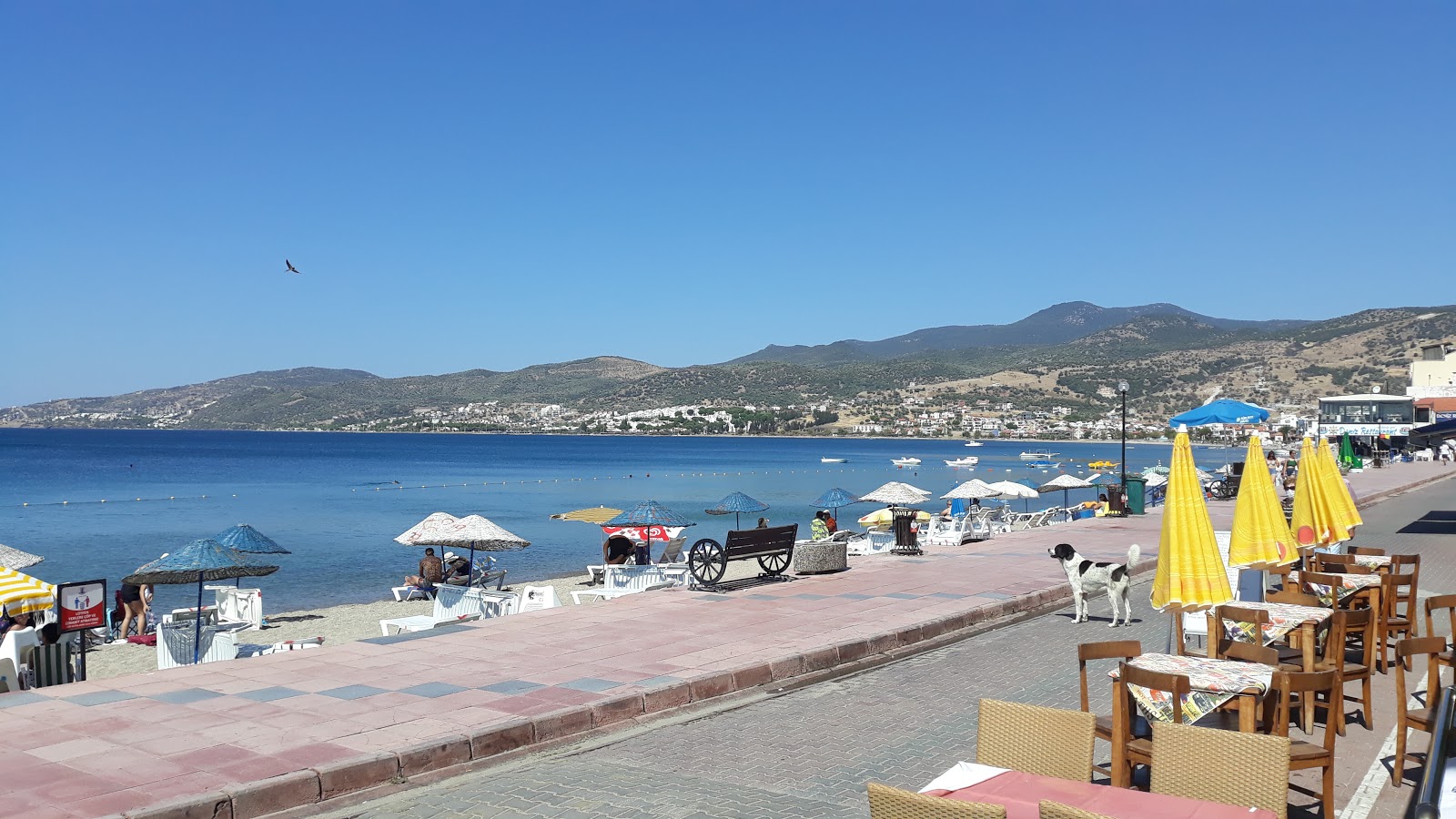 Foto von Candarli beach und die siedlung