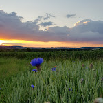 Photo n°1 de l'avis de Mr.u fait le 22/07/2019 à 11:50 sur le  Gaststätte Wüsten-Grill à Bad Salzuflen