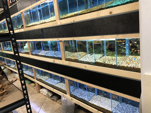 Tropical Fish Store «Nature Aquarium», reviews and photos, 2836 Santa Monica Blvd, Santa Monica, CA 90404, USA