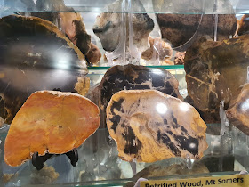 Gemstone & Fossil Museum