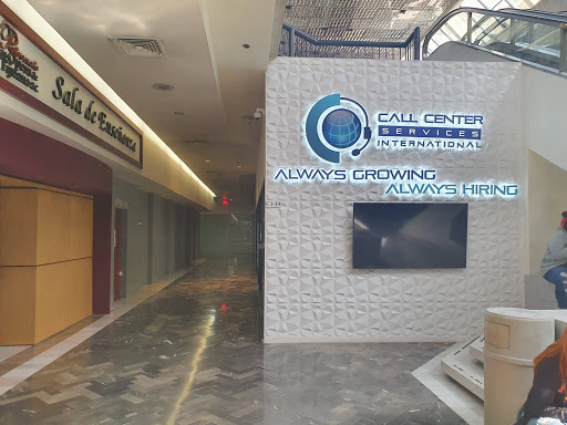 Call Center Services International