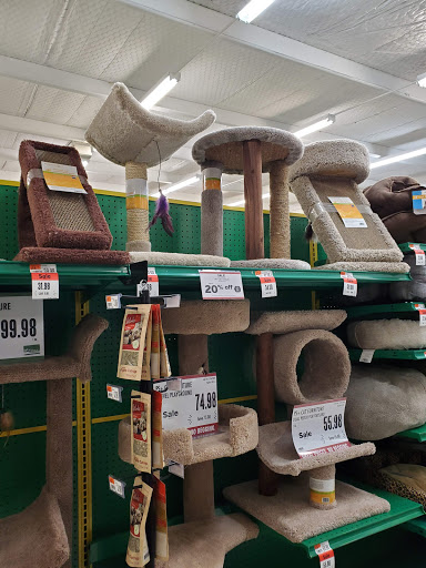 Pet Supply Store «Pet Supplies Plus», reviews and photos, 2201 US-281, Marble Falls, TX 78654, USA