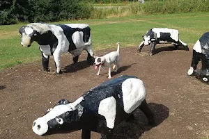 Concrete Cows image