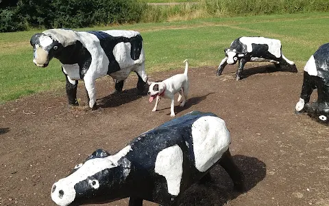 Concrete Cows image