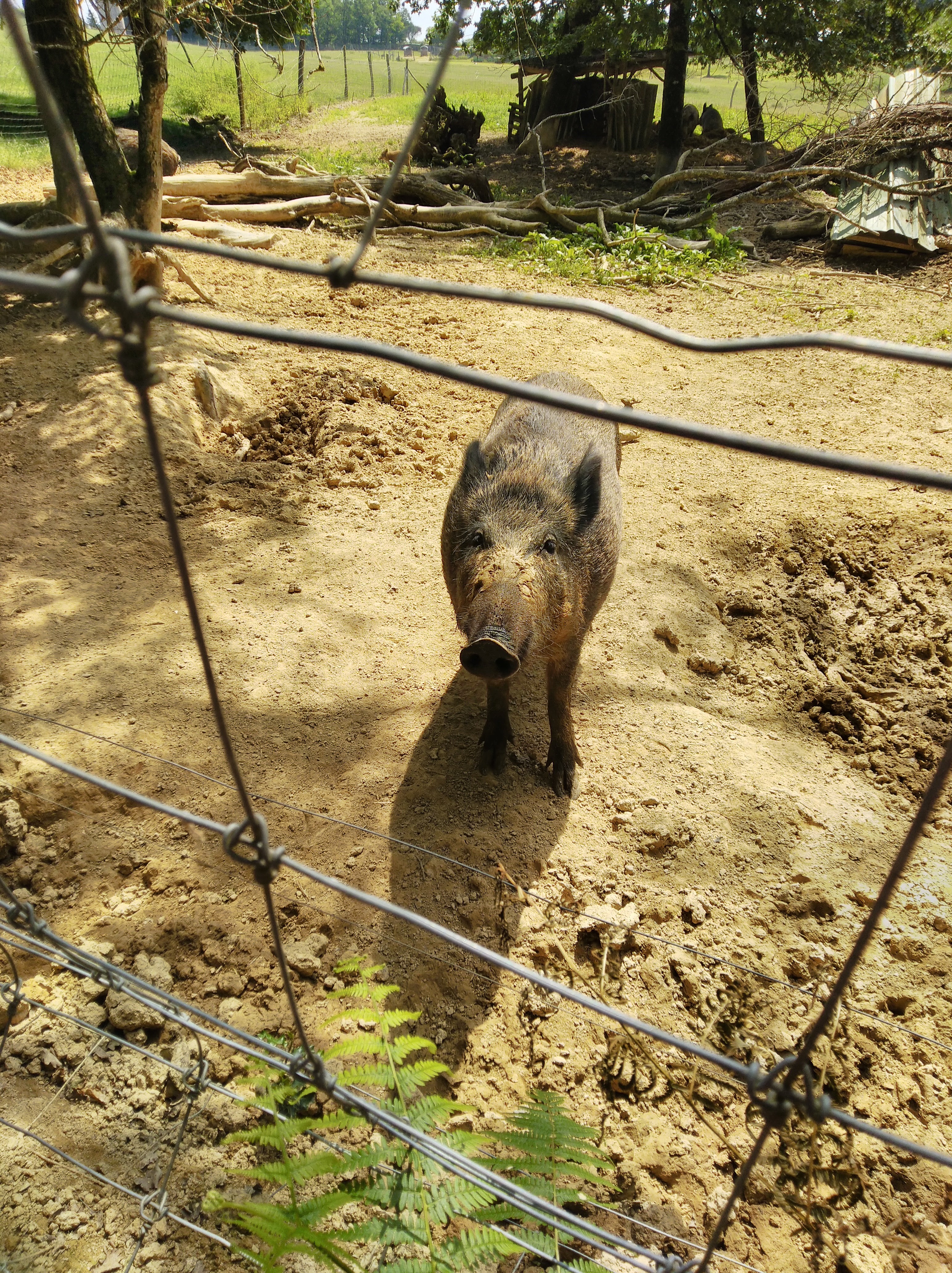 Photo n° 2 de l'avis de Sylvia.o fait le 22/05/2020 à 14:08