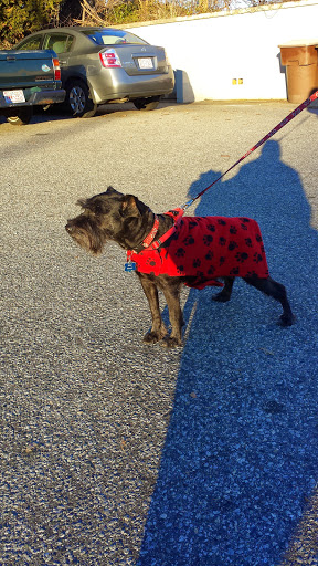 Bakery «Spring Garden Bakery & Coffee», reviews and photos, 1932 Spring Garden St, Greensboro, NC 27403, USA