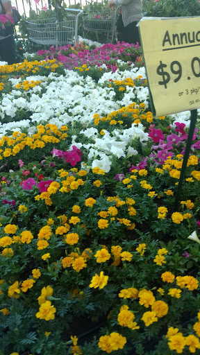 Produce Market «Produce Junction Inc», reviews and photos, 272 Pottstown Pike, Exton, PA 19341, USA