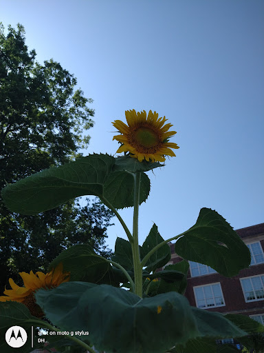 Thrift Store «Second Blessing Thrift Store Inc.», reviews and photos, 2323 Central Ave, Wichita, KS 67214, USA