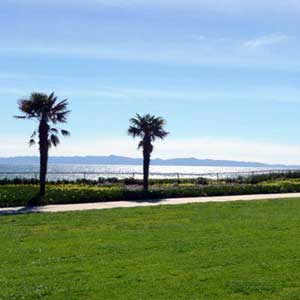 Pfister Park - photo 39