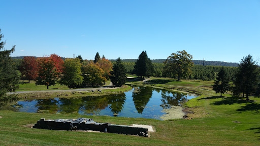Golf Course «Piney Apple Golf Course», reviews and photos, 165 Slatersville Rd, Biglerville, PA 17307, USA