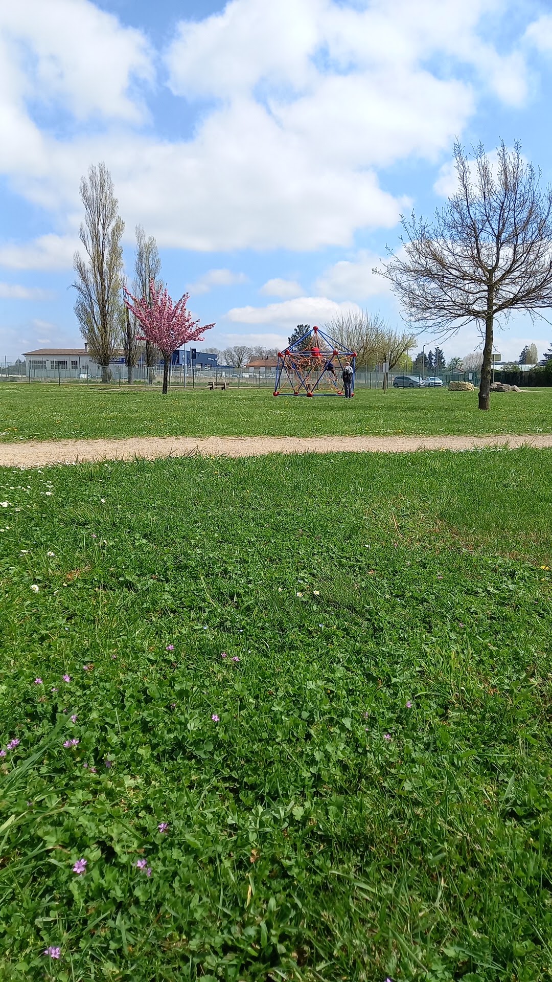 Photo n° 4 de l'avis de rose.e fait le 18/04/2023 à 11:50