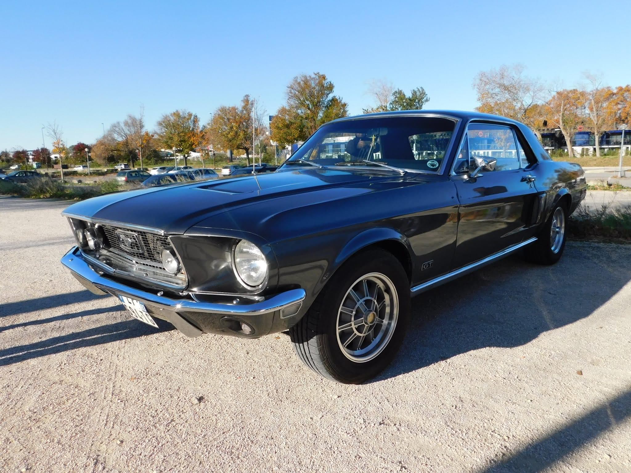 Photo n° 1 de l'avis de Mustang.t fait le 02/12/2022 à 10:31