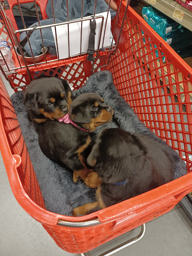 Pet Supply Store «Care-A-Lot Pet Supply Indian River», reviews and photos, 5457 Indian River Rd, Virginia Beach, VA 23464, USA