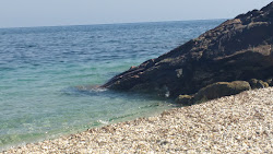 Cala Junquera'in fotoğrafı - rahatlamayı sevenler arasında popüler bir yer