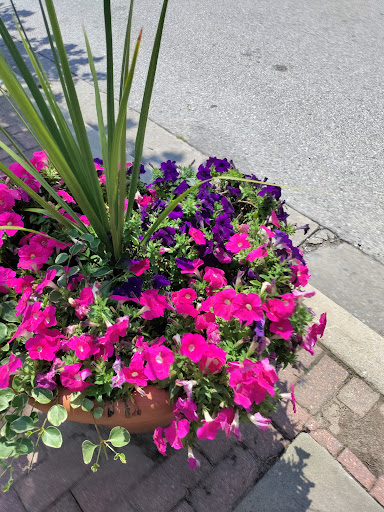 Florist «Rainbow Florist & Delectables Inc.», reviews and photos, 370 Main St, Laurel, MD 20707, USA