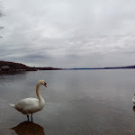 Photo n°1 de l'avis de Joseph.p fait le 26/12/2019 à 20:08 sur le  Golfhotel Kaiserin Elisabeth à Feldafing