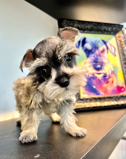 Legacy Pet Care Houston All Star Groomers