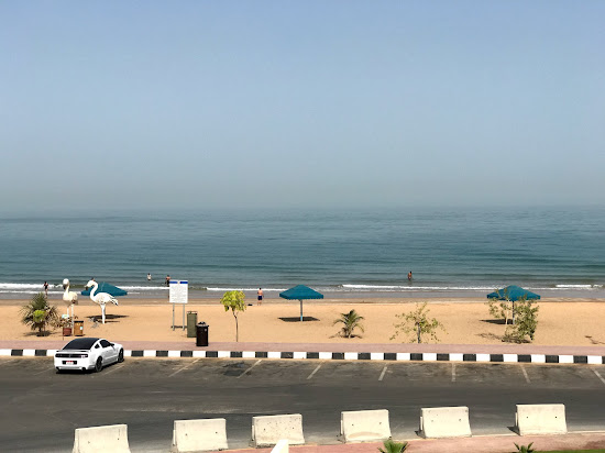 Flamingo beach