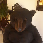 Photo n°1 de l'avis de Ihle.a fait le 18/05/2019 à 05:19 sur le  Restaurant Zum Schwarzen Bären à Marienberg