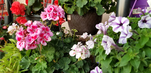 Hardware Store «Sunshine Ace Hardware Inc», reviews and photos, 141 Tamiami Trail, Naples, FL 34102, USA