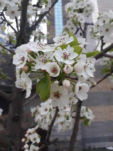 Movie Theater «AMC Framingham 16 with Dine-in Theatres», reviews and photos, 22 Flutie Pass, Framingham, MA 01701, USA